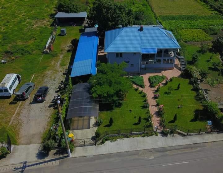 Casa Cu Trandafiri Murighiol Zewnętrze zdjęcie