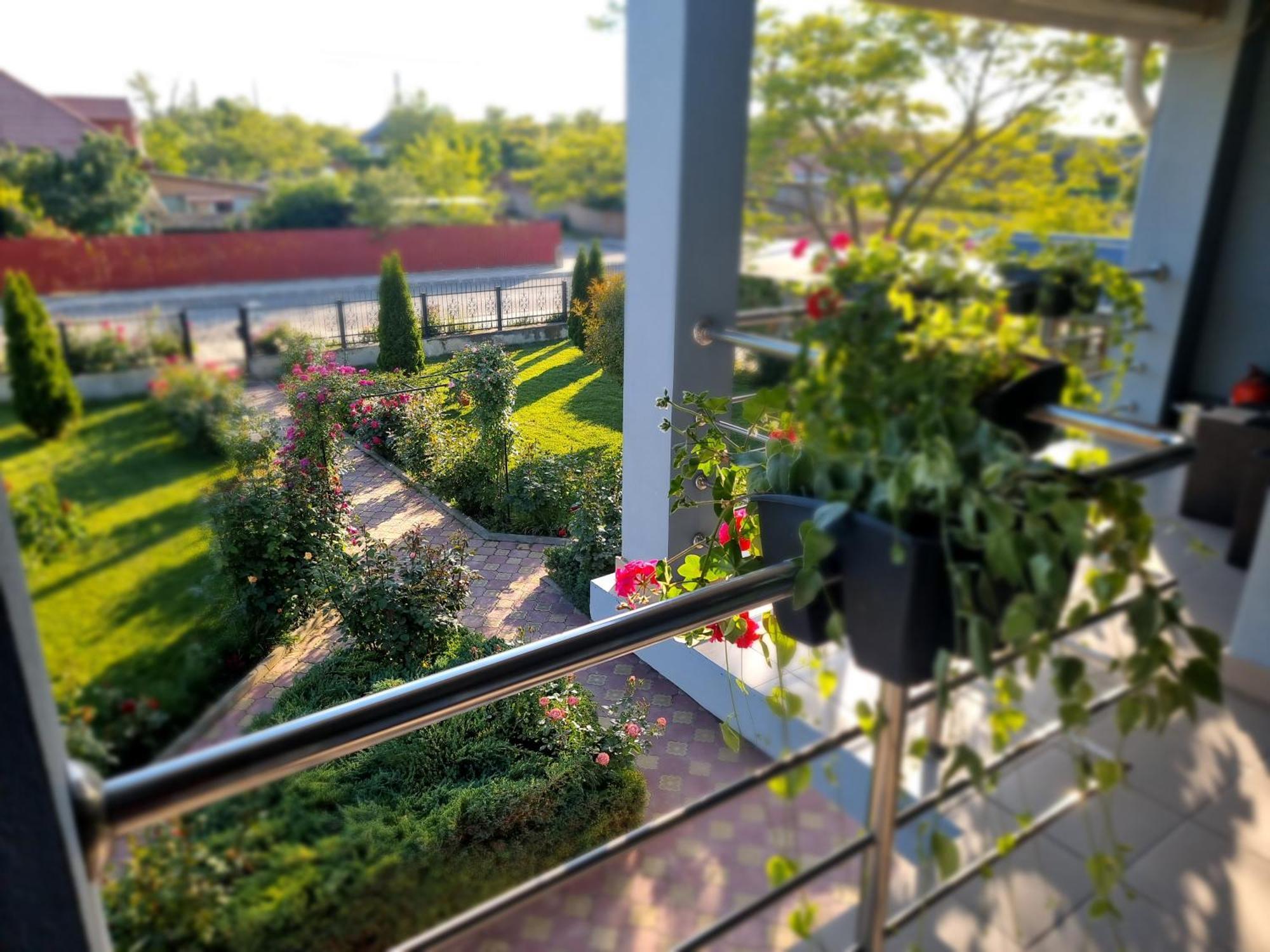 Casa Cu Trandafiri Murighiol Zewnętrze zdjęcie