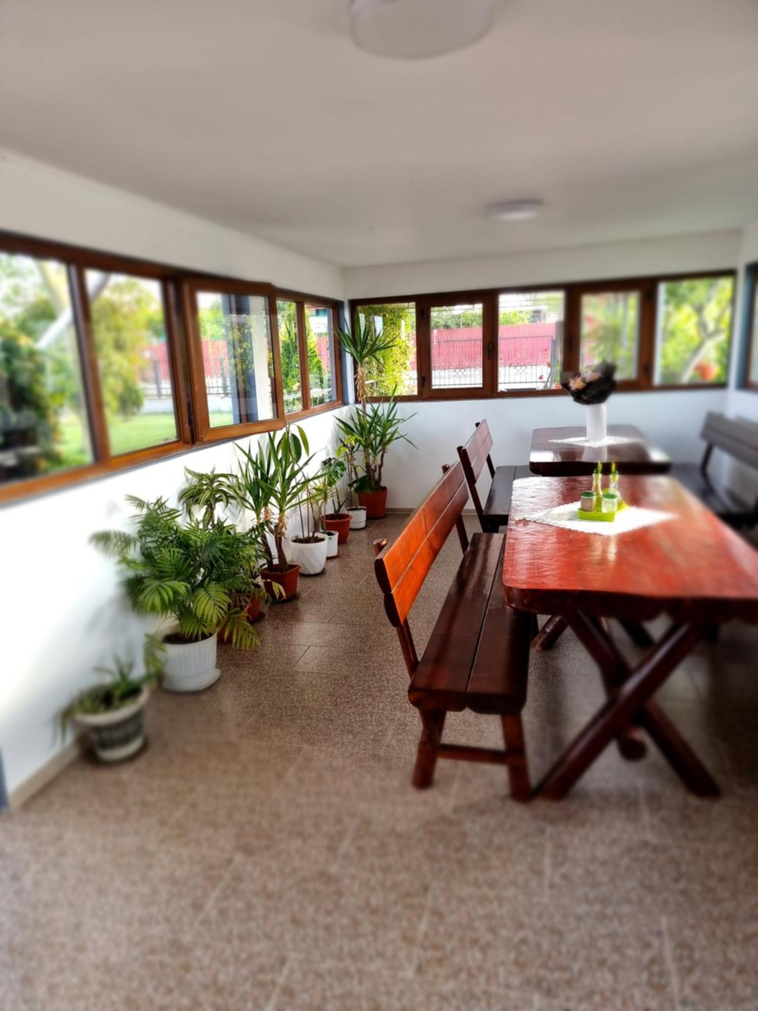 Casa Cu Trandafiri Murighiol Zewnętrze zdjęcie